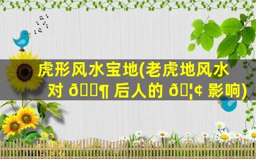 虎形风水宝地(老虎地风水对 🐶 后人的 🦢 影响)